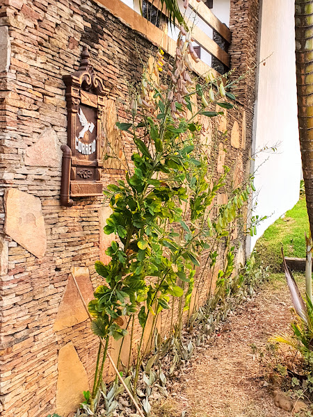 Chocalhos no paisagismo.