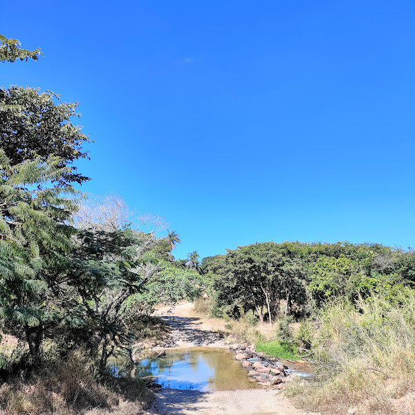 Área florestal associada à rio.