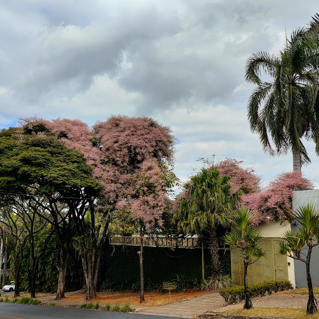 Maciço de congeias.