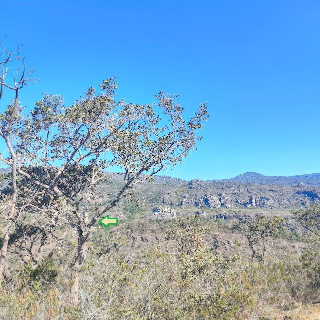 Embiru junto de barranco.