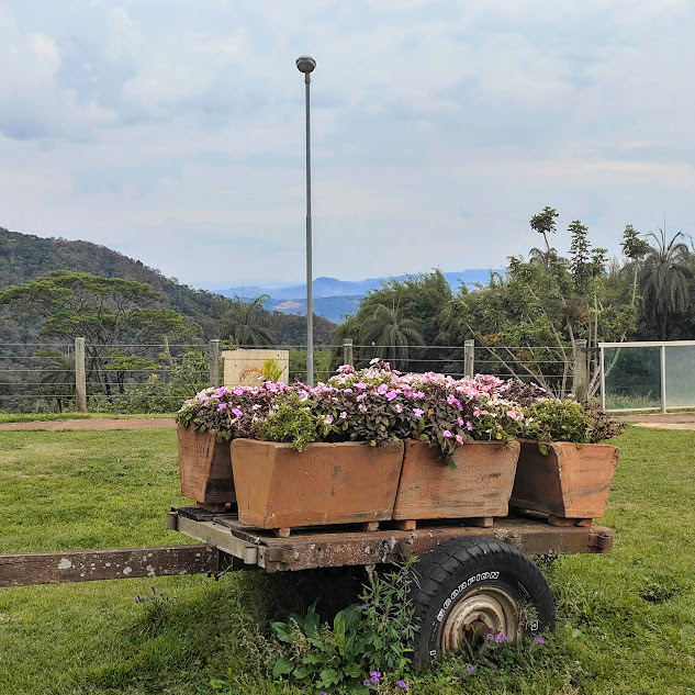 Composição com flores de beijo.