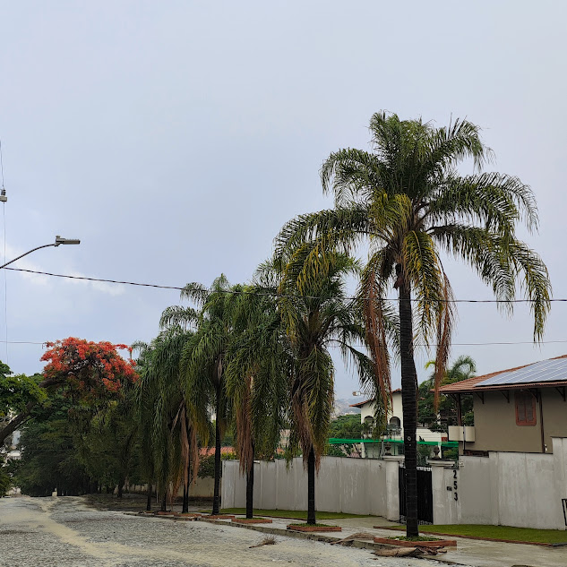 Sequência de jerivás.