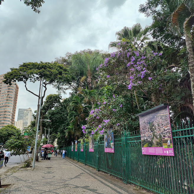 Como um espaço ambiental e cultural, educação ambiental com paineis informativos sobre recursos hídricos na entrada do Parque, junto da avenida Afonso Pena. As cores estavam consoantes com a floração das quaresmeiras. 30/01/2025