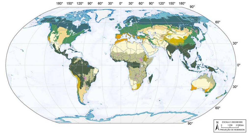 Mapa dos principais biomas mundiais.