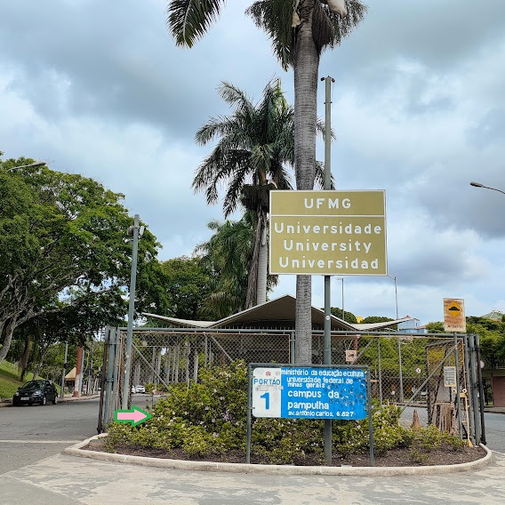 Maciço de azaleias.