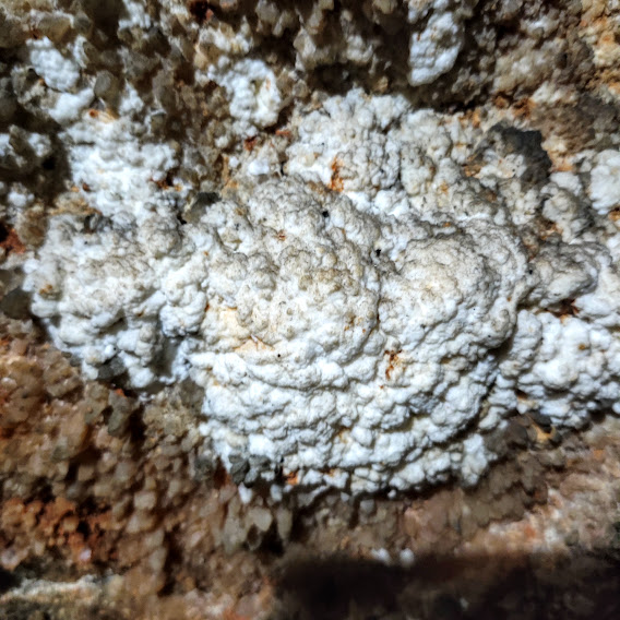 Monumento Natural Estadual Gruta Rei do Mato Detalhe de um coraloide.