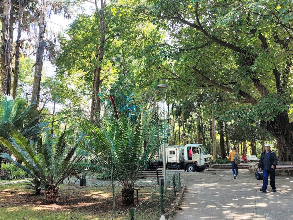 Dupla de sagus-de-espinho.