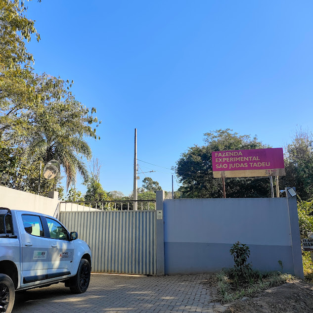 Entrada da Floresta são Judas Tadeu.