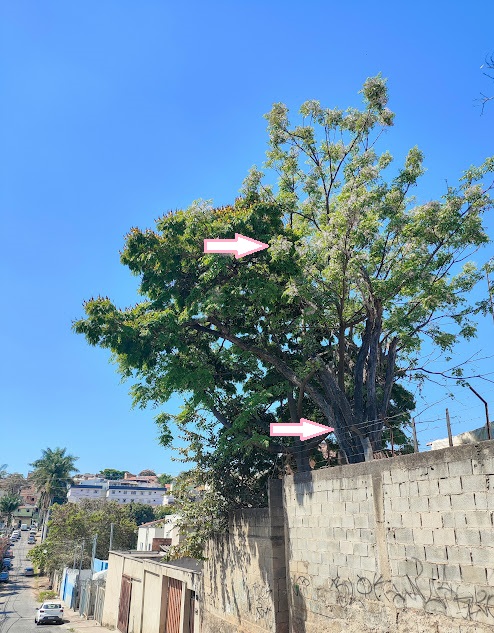 IMG_20250906_133635~2