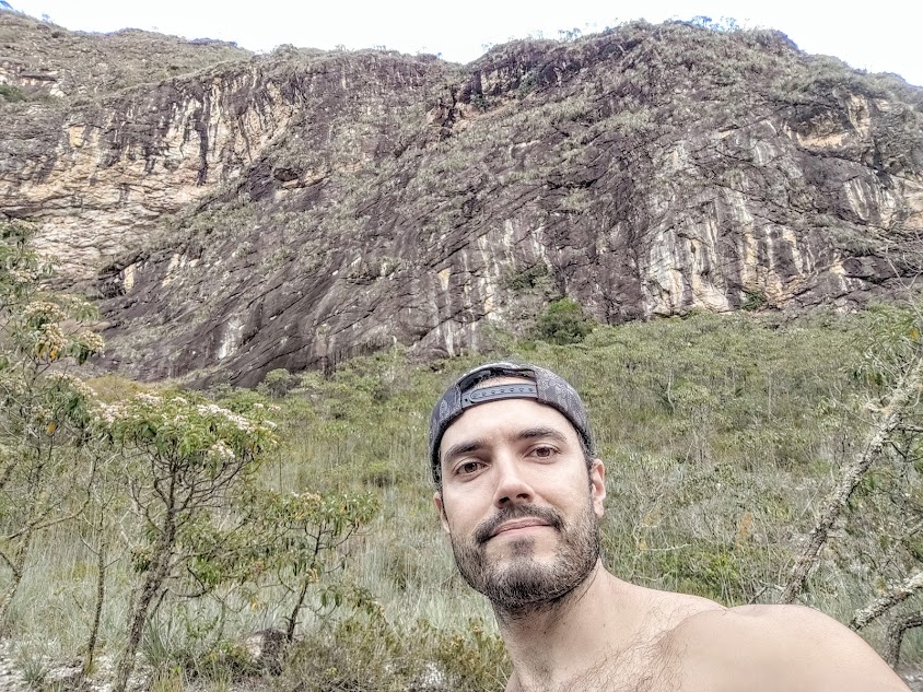 Grande bosque de candeiais.