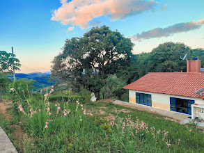 Maciço de palmas-de-santa-rita.