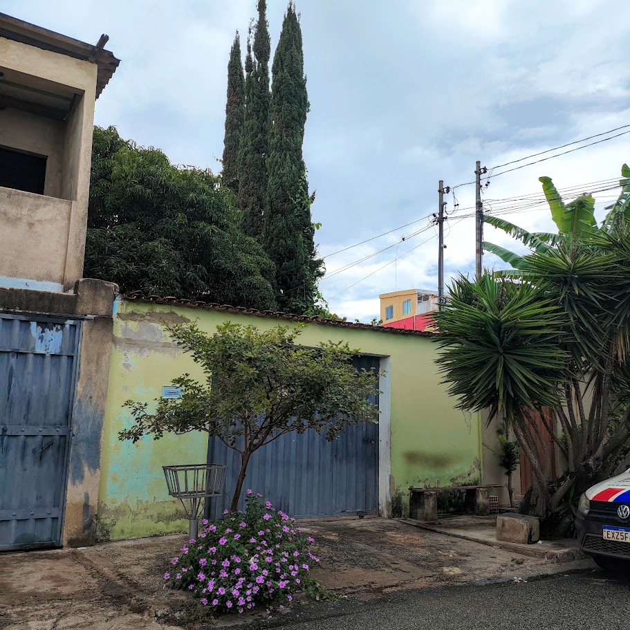 Vinca-de-madagacar em base de árvore.