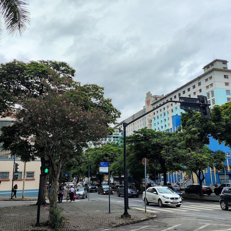 Espirradeira florida.