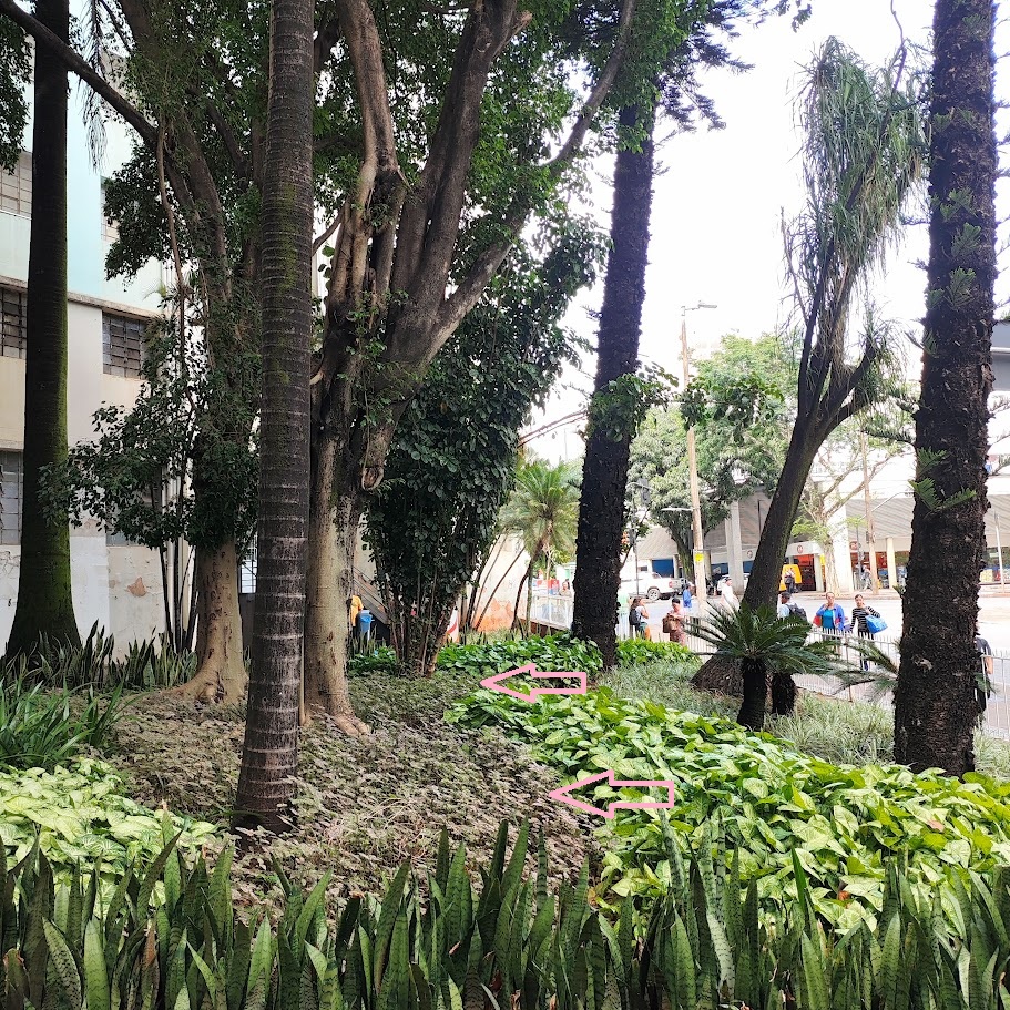 Maciço de confetes.