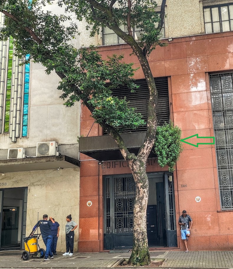 Boldinho espontâneo.