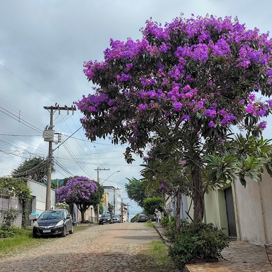 Rua Casablanca - Santa Terezinha - BH. 20/02/2026