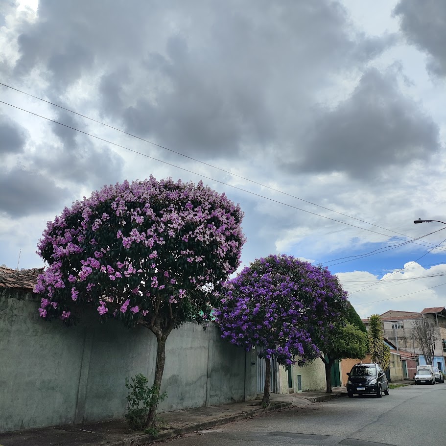 Rua Maria Alzira Ferreira - Santa Mônica  - BH. 22/02/2026