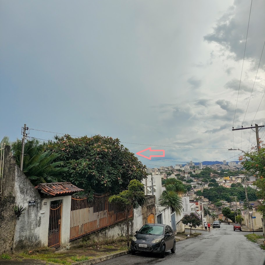 Jasmim-manga florida.