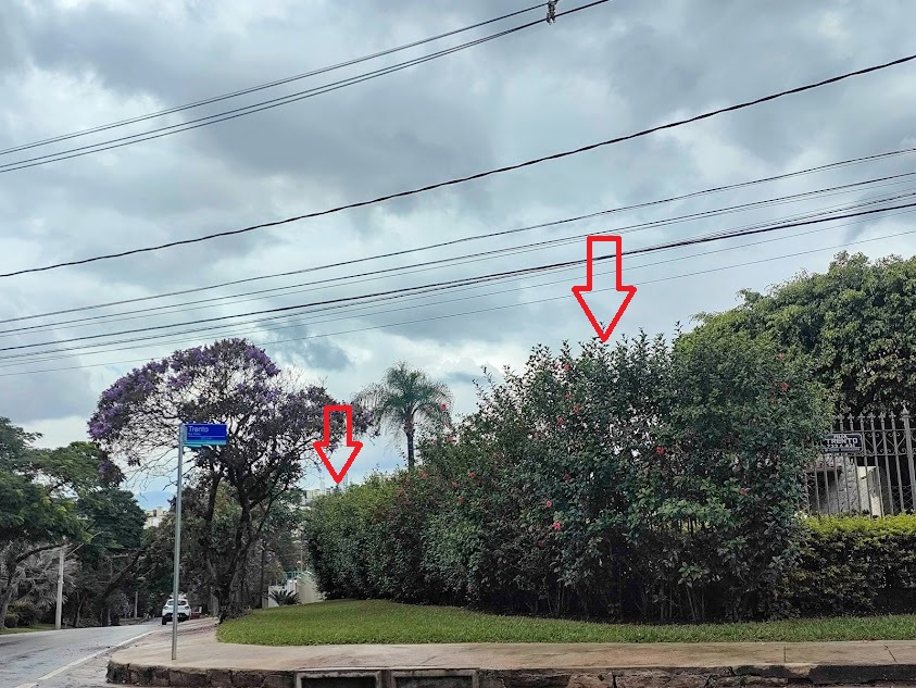 Cerca-viva com hibiscos.