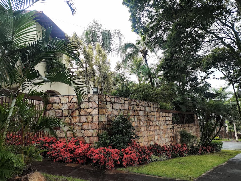 Bordadura com ixoras.