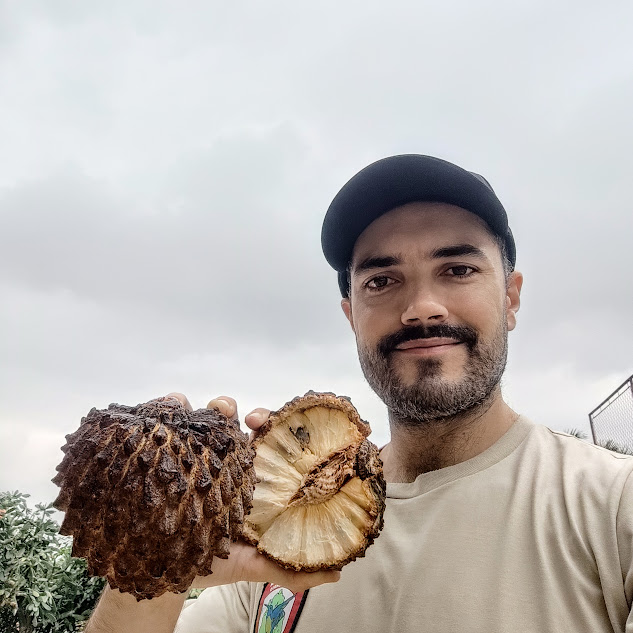 Fruto e polpa do marolo.