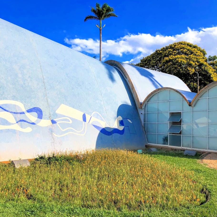 Maciço de cebolinhas-de-jardim