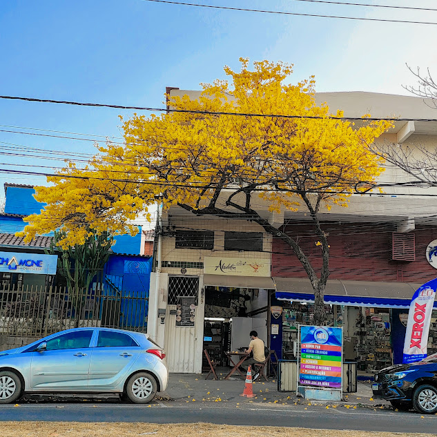Ipê amarelo coroando lanchonete.