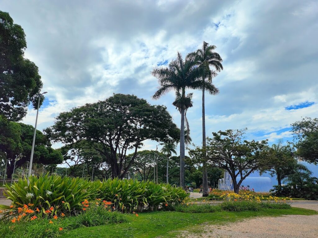 Maciço de lírios-de-são-josé.