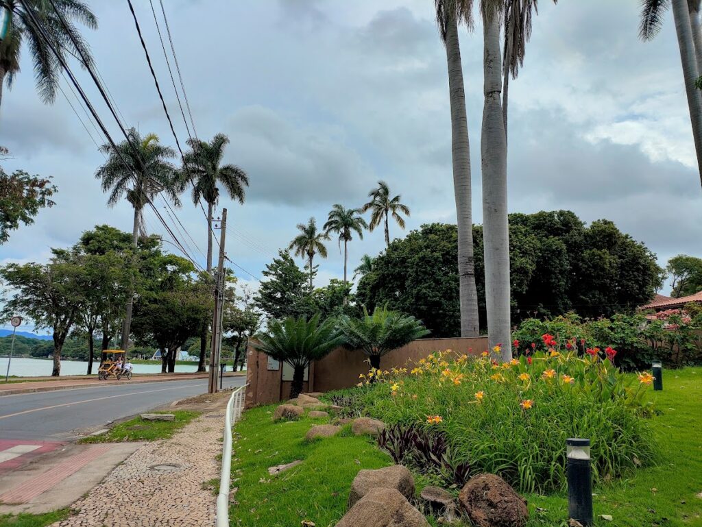 Pequeno maciço de lírios-de-são-josé