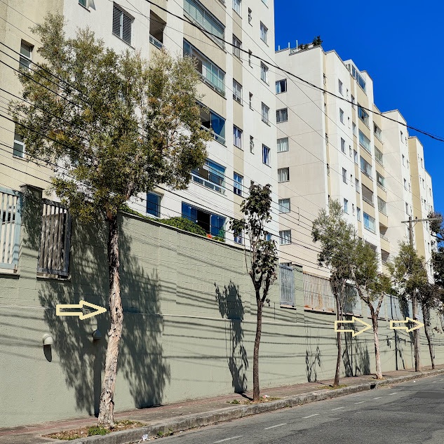 Escovas-de-garrafa em sequência.
