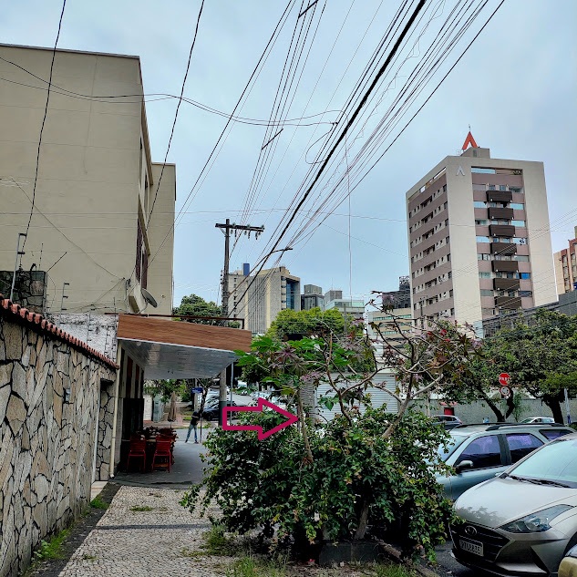 Mamona-vermelha em rua.