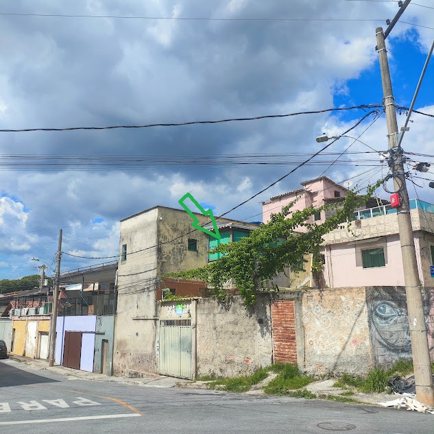 Uva-do-mato sobre fiação elétrica.