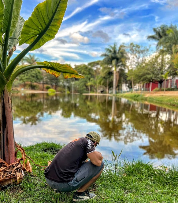 Bananeira-d'água.