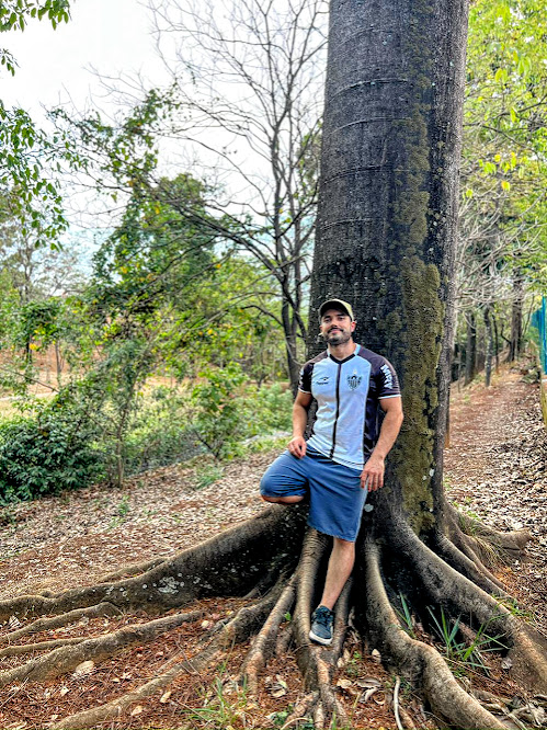 Tronco e raizes do guapuruvu.
