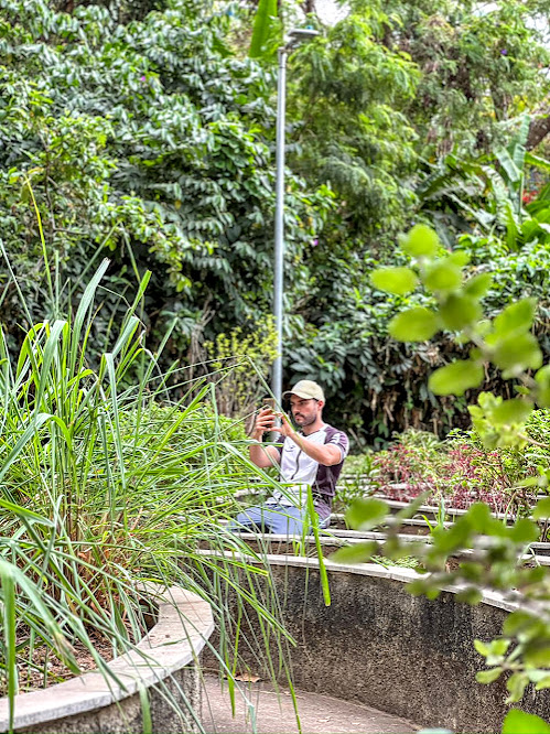 Detalhe do jardim sensorial.
