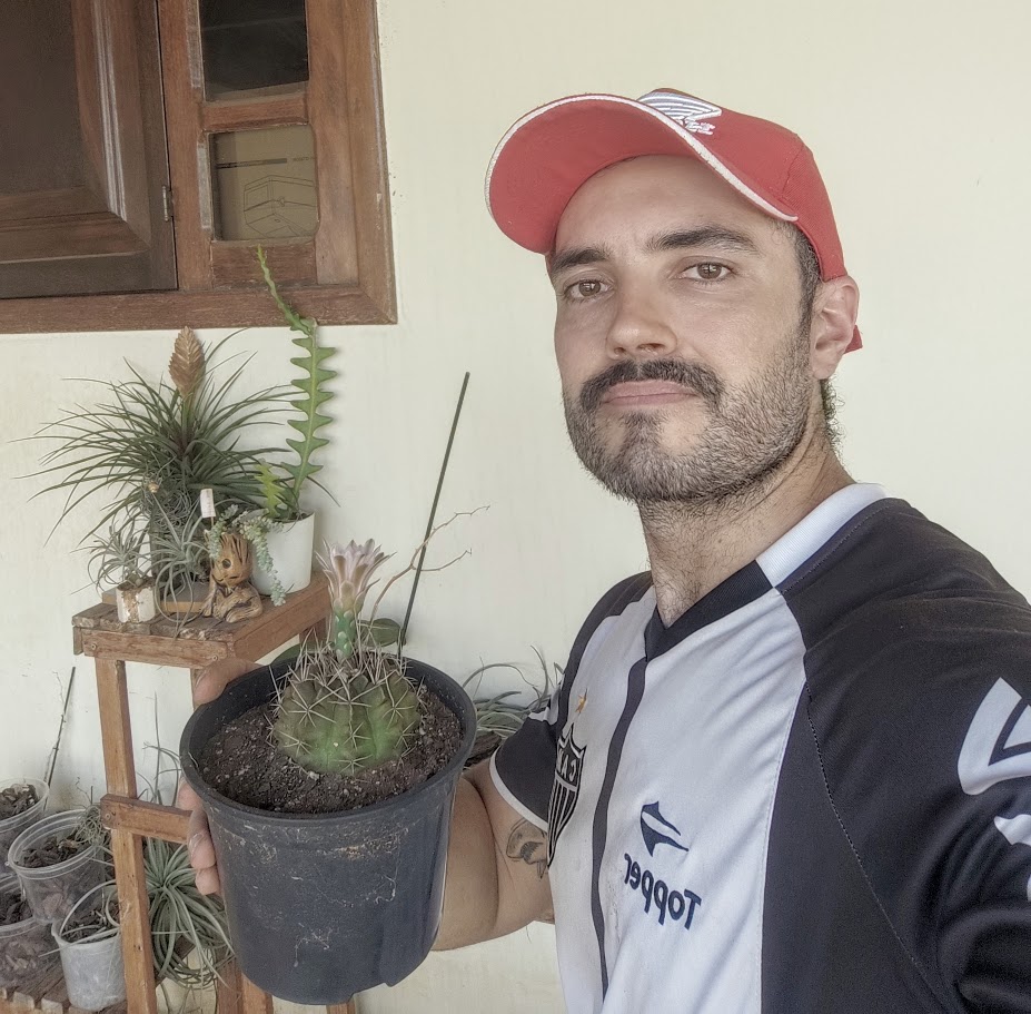 Cacto-cabeça-tuberculada em vaso.